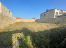 Satılır Albalılıq