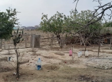 Məhəmməd Əsədov küçəsi