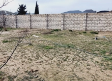 Albalılıq qəsəbəsi