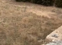 Xəzər rayonu