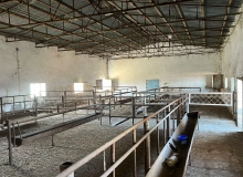 Şirvan