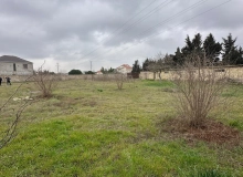Buzovna
