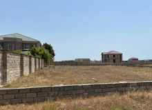 Buzovna