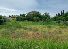 Buzovna