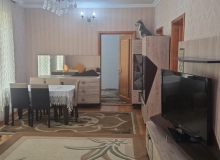 Saray