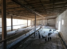 Suraxanı rayonu, Bahar qəsəbəsi