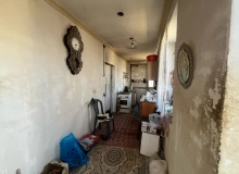Albalı bağ massivi