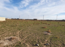 Sumqayıt. Yaşma bağları