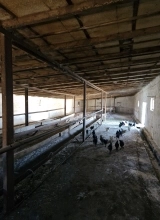 Suraxanı ray.  Bahar qəs.