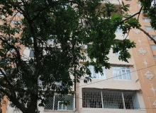 Yeni Günəşli qəsəbəsi, V massivi