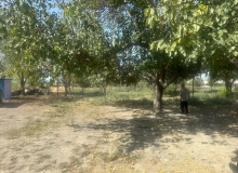 Satılır Göyçay şəhəri