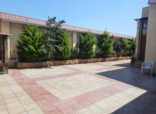Albalı bağ massivi