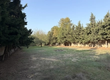 Bilgəh 19-cu dalan