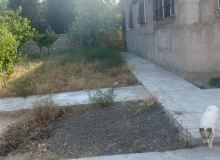 Abşeron rayonu, Novxanı qəsəbəsi