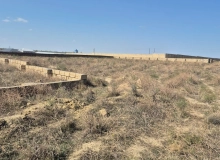 Masazır
