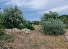 Buzovna