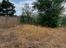 Buzovna