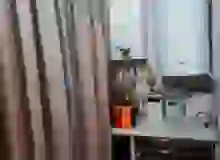 Masazır