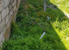 Satılır Saray