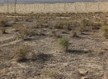 Ağaxan Abdullayev küçəsi