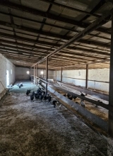 Suraxanı ray.  Bahar qəs.