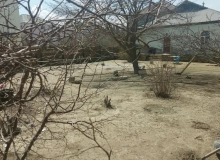 Masazır