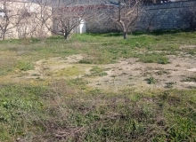 Mikayıl Əliyev küçəsi