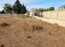 Buzovna Buzovna