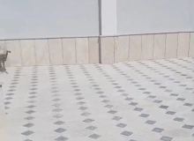 Masazır qəsəbəsi "Qum bazarı"nın yaxınlığı