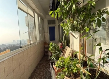 Satılır Köhnə Günəşli