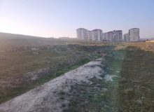 Masazır qəsəbəsi, Şəmşir Abbasov küçəsi