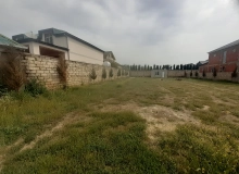 Buzovna