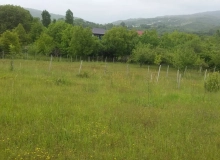 Satılır Sumqayıt