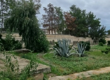 Buzovna