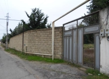 Şağan