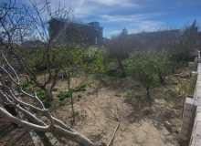 Xəzər rayonu ,Buzovna qəsəbəsi