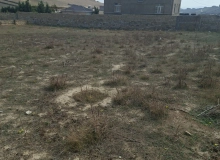 Novxanı qəsəbəsi