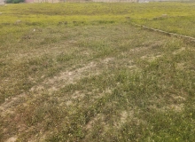 Ağaxan Abdullayev küçəsi