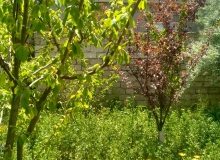 Buzovna