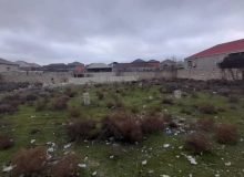 Şağan