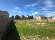 Buzovna