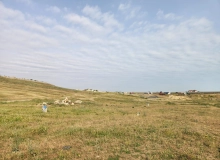 Masazır, Polad Həşimov küçəsi