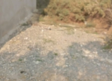 Samid İmanov küçəsi