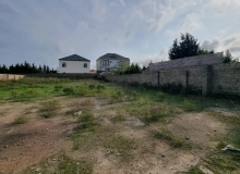 Buzovna