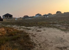 Novxanı qəsəbəsi, Məhəmməd Əsədov küçəsi