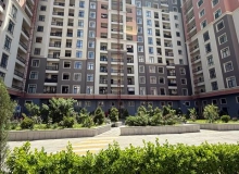 Qara Qarayev m, Özbəkistan küçəsi