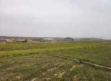 Satılır Ağaxan Abdullayev küçəsi