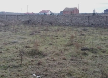 Satılır Buzovna