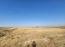 Novxanı qəsəbəsi