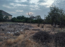 Saatlı rayonu, Molday kəndi, Nəsimi küçəsi 49